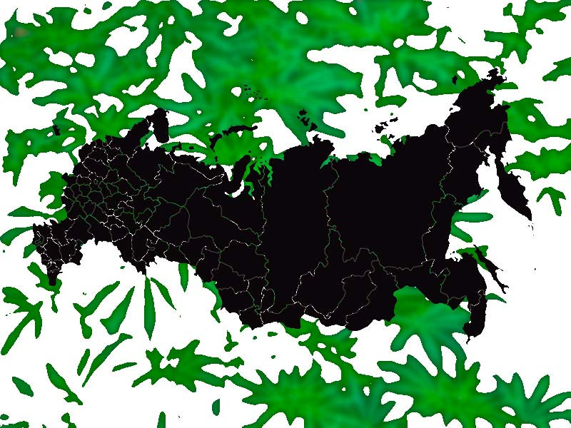 Какие семена вырастут в России? Сорта для России