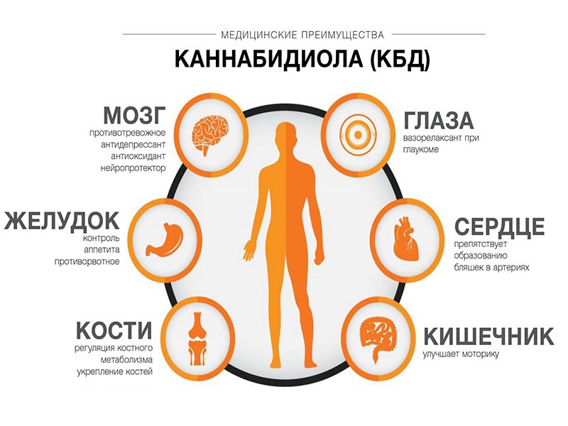 Польза от применения каннабидиола Польза каннабидиола