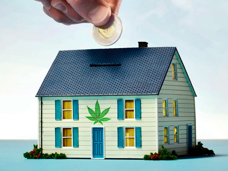 Использование конопли в строительстве экономит средства Использование конопли в строительстве это экологично и экономично