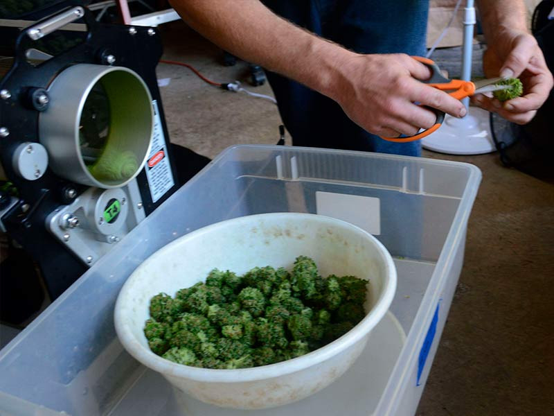 Машинный тримминг Машинный тримминг