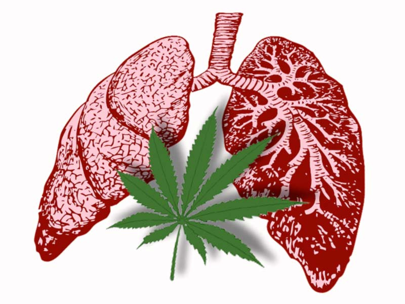 Каннабис и легкие Влияние конопли на лёгкие