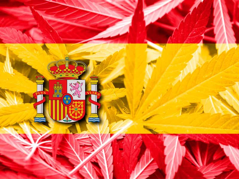 Легальность конопли в Испании Легализация в Испании
