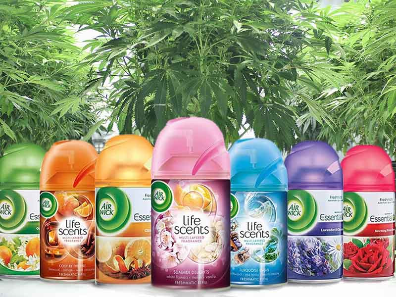 Освежитель скрывает запах марихуаны Освежитель воздуха