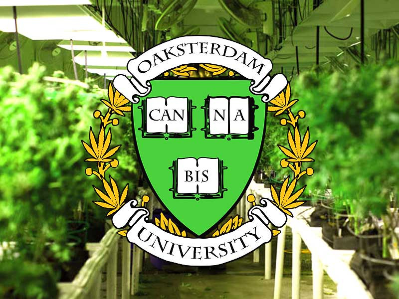 Oaksterdam University - университет каннабиса Oaksterdam University