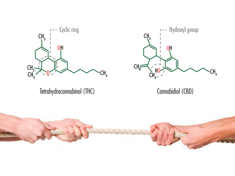ТКГ совместно с КБД ТКГ совместно с КБД
