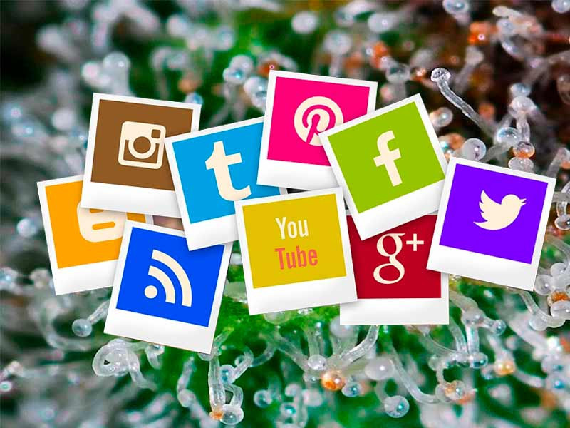 Сетевые и гроверские термины Сетевые и гроверские выражения