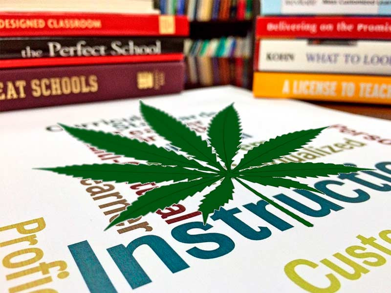 Краткая инструкция по выращиванию конопли Гид по выращиванию марихуаны