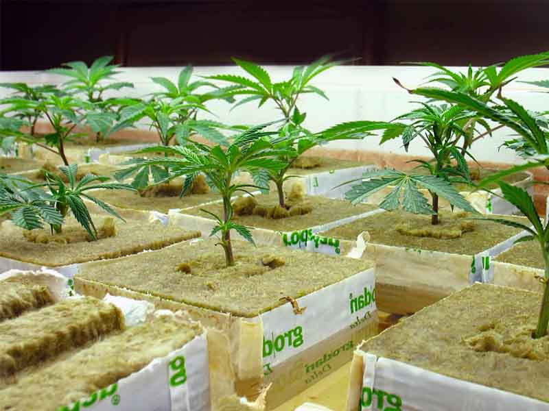 Минеральная вата Субстрат