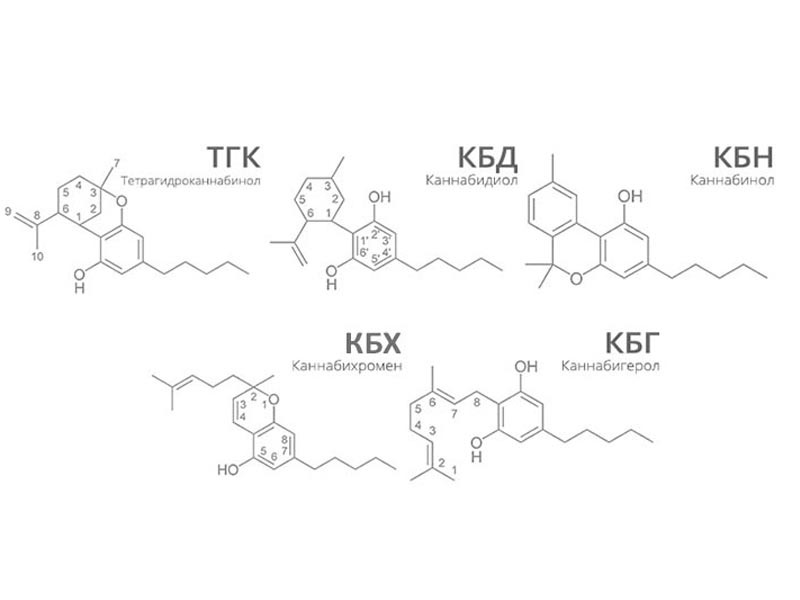Основные каннабиноиды Каннабиноиды