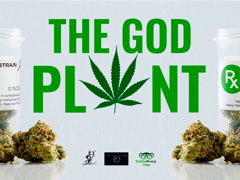 Фильм «Божественное растение» «Божественное растение», 2018 год, США