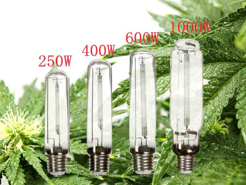 Подобрать мощность лампы для конопли Мощность ДНаТ