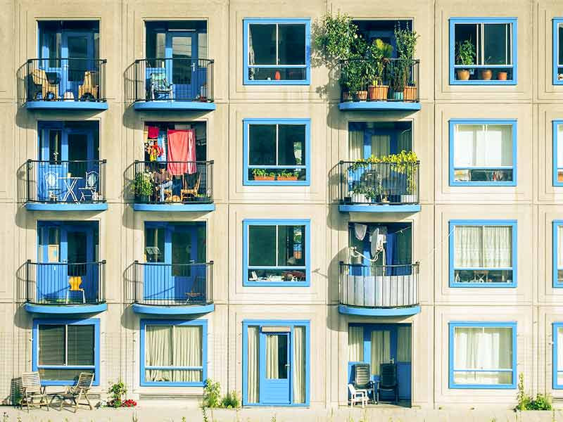 Выращивание на балконе Выращивание конопли на балконе