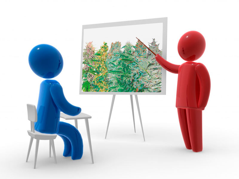 Какой сорт подойдет для новичка? Сорта для неопытных