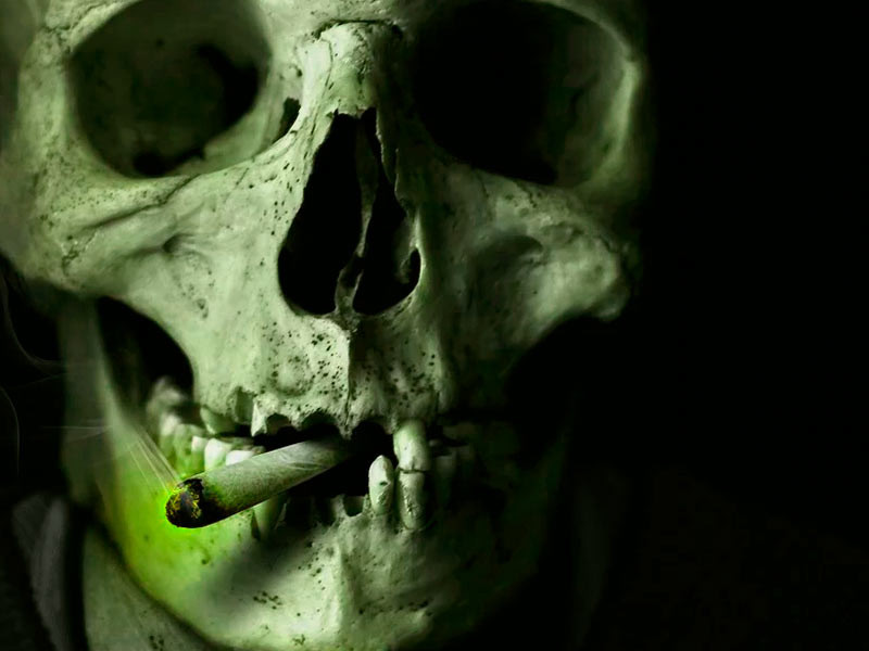 Дым - наносит основной вред Дым очень вреден