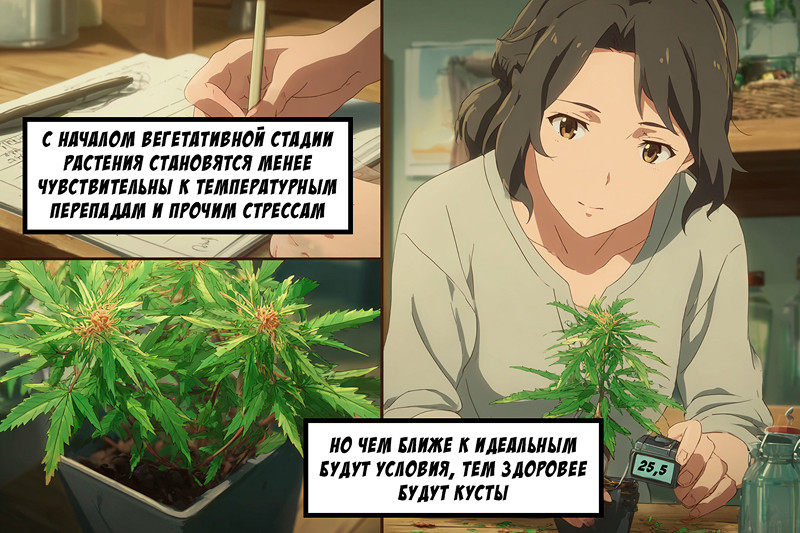 Период цветения