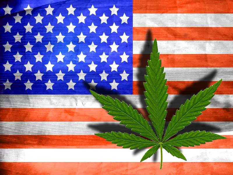Отношение США к каннабису Отношение к марихуане в США