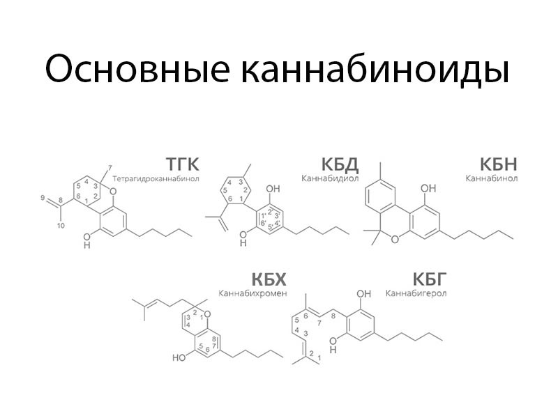 5 основных каннабиноидов Основные каннабиноиды